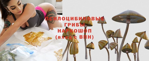стафф Бородино