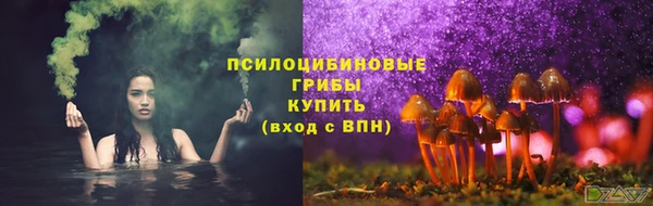 стафф Бородино