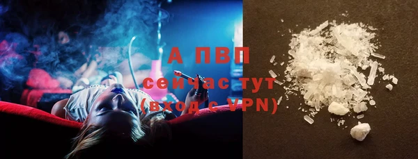 стафф Бородино