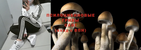 стафф Бородино