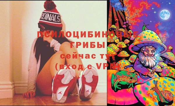 стафф Бородино