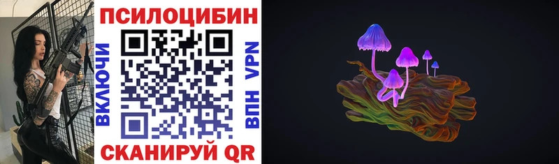 Псилоцибиновые грибы Psilocybe  магазин  наркотиков  Нерчинск 